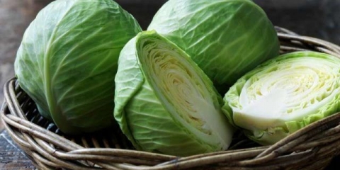 Bijeli kupus: koristi i štete, ljekovita svojstva